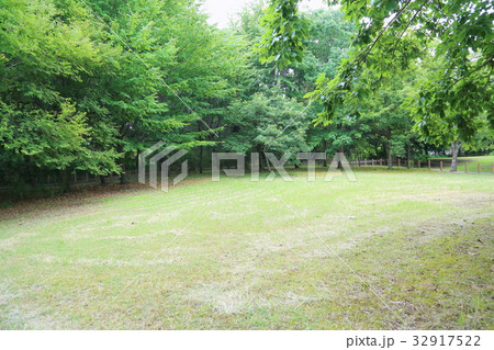 夏の公園 32917522