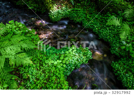 流れイメージ 32917992