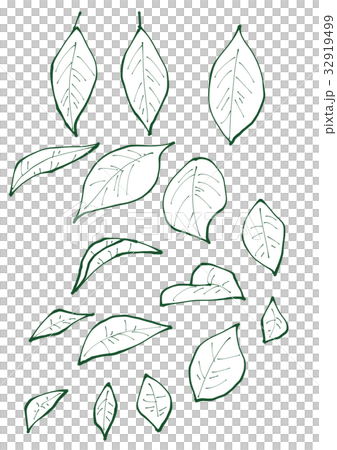 葉　線画 32919499