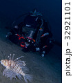 水中撮影 32921101