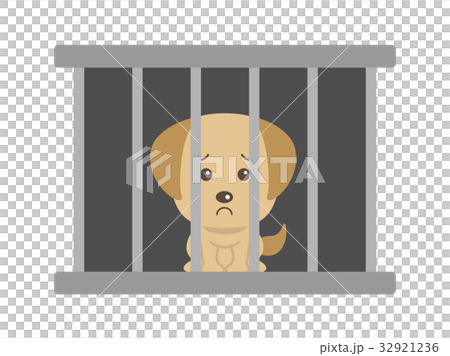 Pet problem Pet problem 32921236