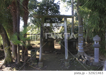 城山公園（栃木・小山氏城跡）にて 32921463