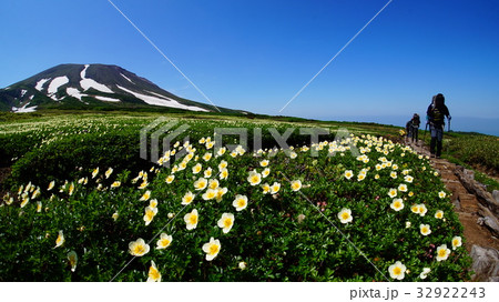 大雪山裾合平 32922243