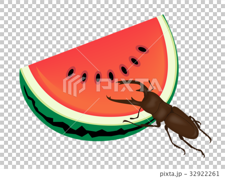 雄鹿甲蟲 32922261