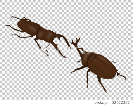 昆蟲摔跤 32922262