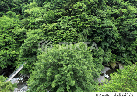 荒川源流と川又吊り橋 荒川源流と川又吊り橋 32922476