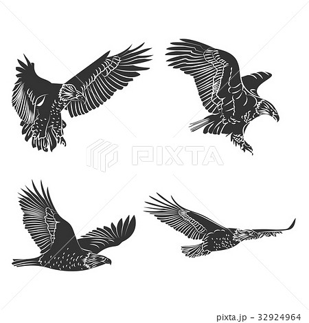 Eagle And Falcon Silhouettes Set のイラスト素材