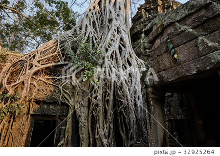 カンボジア 社員 アンコール 32925264