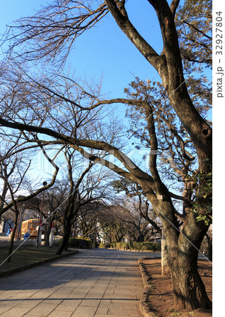 都市風景(東京都、北区、飛鳥山公園、冬編) 都市風景(東京都、北区、飛鳥山公園、冬編) 32927804