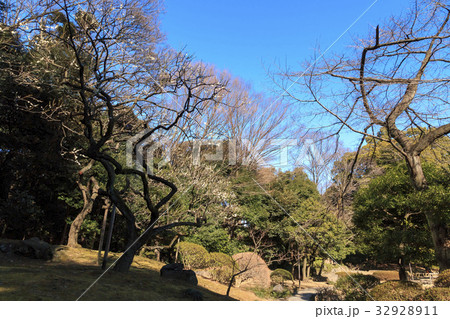 都市風景（東京都、後楽園、冬編） 32928911