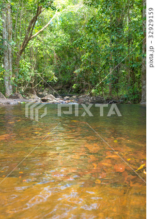 Waterfall and clear stream in the green forest Waterfall and clear stream in the green forest 32929159