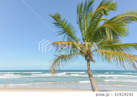 impressive paradise beach at Itacare Bahia Brazil impressive paradise beach at Itacare Bahia Brazil 32929292