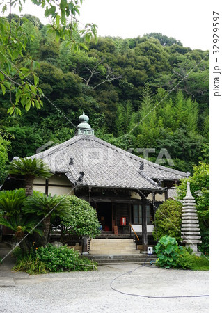 7月　南伊豆123ペリーロード・大浦山長楽寺 32929597