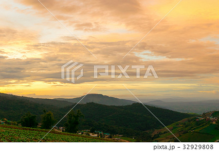 cabbage nature mountain sky and fog phu tubberk  32929808
