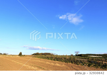 田舎風景（神奈川、三浦・横須賀、畑、冬編）　 32930642