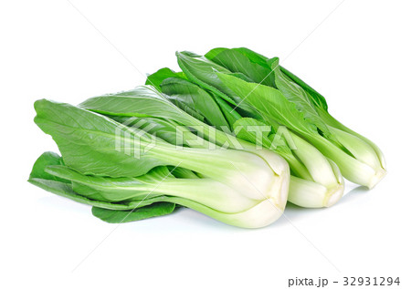 Bok choy (chinese cabbage) isolated on white 32931294