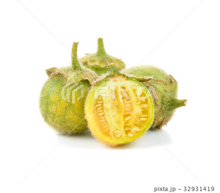 Solanum ferox isolated on white background Solanum ferox isolated on white background 32931419