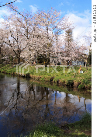 田舎風景(山梨県、忍野村、桜編) 田舎風景(山梨県、忍野村、桜編) 32931511
