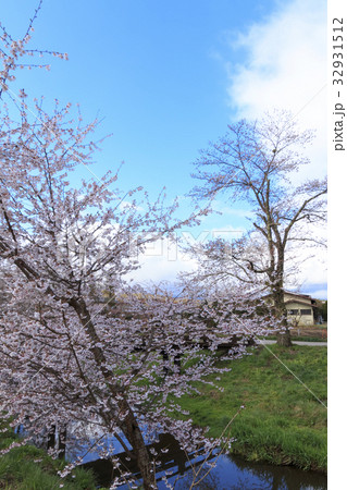 田舎風景（山梨県、忍野村、桜編） 32931512