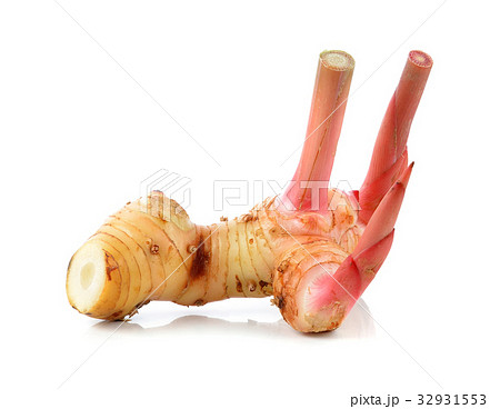 Fresh galangal isolated on white background. 32931553