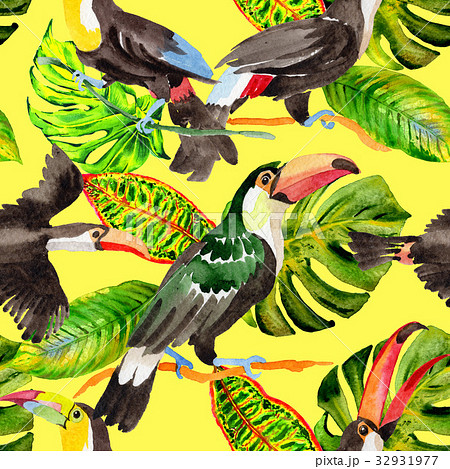 Sky bird toucan pattern in a wildlife by Sky bird toucan pattern in a wildlife by 32931977