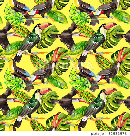 Sky bird toucan pattern in a wildlife by Sky bird toucan pattern in a wildlife by 32931978