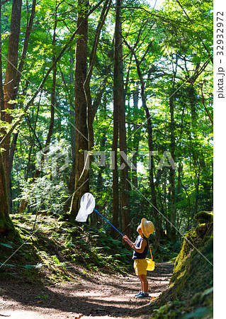 男の子　３歳児　森の中　虫取り 32932972