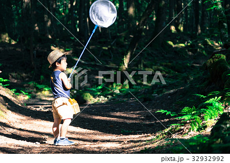男の子　３歳児　森の中　虫取り 32932992