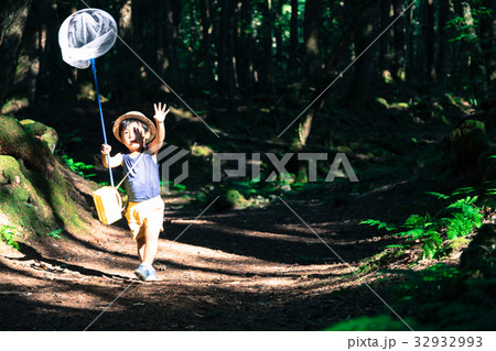 男の子 3歳児 森の中 虫取り 男の子 3歳児 森の中 虫取り 32932993