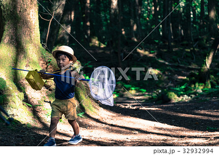 男の子 3歳児 森の中 虫取り 男の子 3歳児 森の中 虫取り 32932994