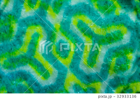 Abstract green pattern fabric texture Abstract green pattern fabric texture 32933136