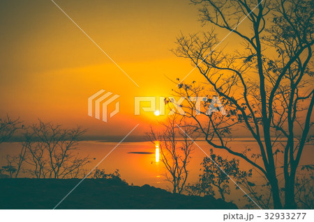 Orange sky with sun beams and silhouette of trees 32933277