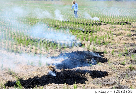 刈田を焼く　人物　奥　左向き 32933359