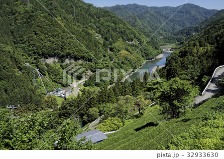 天竜川と茶畑 32933630