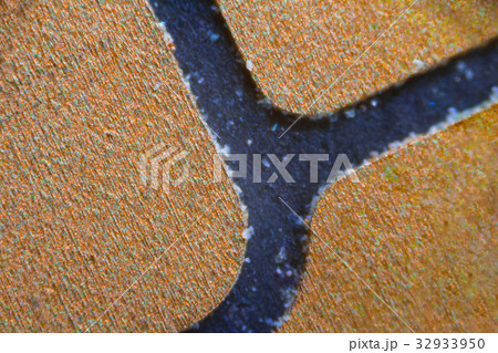 NFC chip under the microscope NFC chip under the microscope 32933950