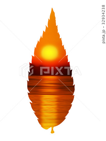 ケヤキの葉に夕日 32934238