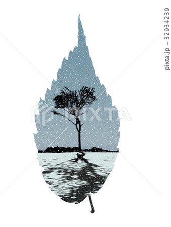 ケヤキの葉に雪景色 32934239