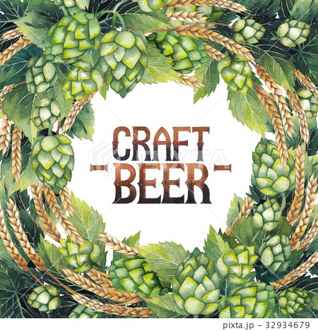 Watercolor hop and malt Watercolor hop and malt 32934679