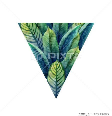 Watercolor heliconia leaves Watercolor heliconia leaves 32934805