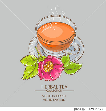 cup of dog rose tea 32935577