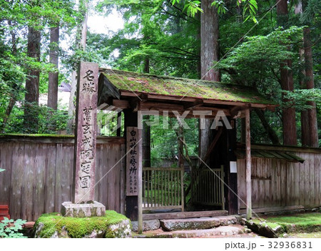 福井県　平泉寺　苔寺 32936831