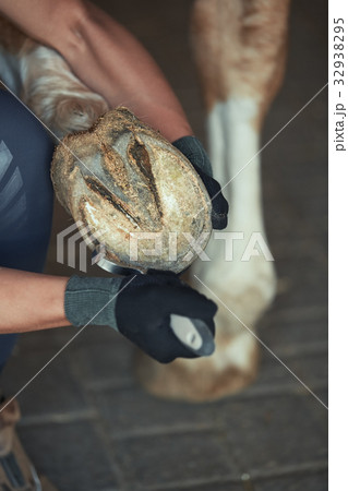 Man cleaning horse hoof 32938295