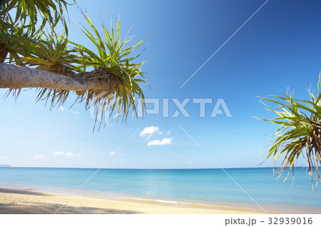 tropic beach tropic beach 32939016