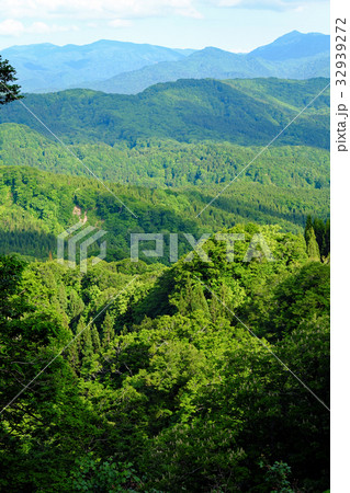 白神山地　新緑の山々 32939272