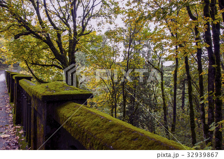 Moss Covered Bridge 32939867