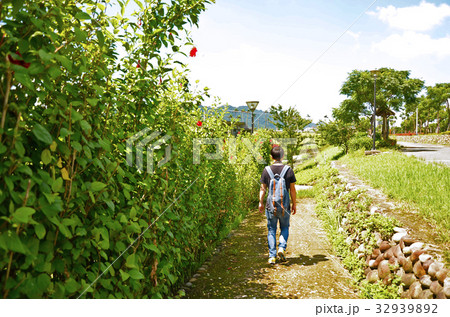 クロ－ズアップ クローズアップ 接写 32939892