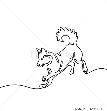 Dog jumping and playing 32941819