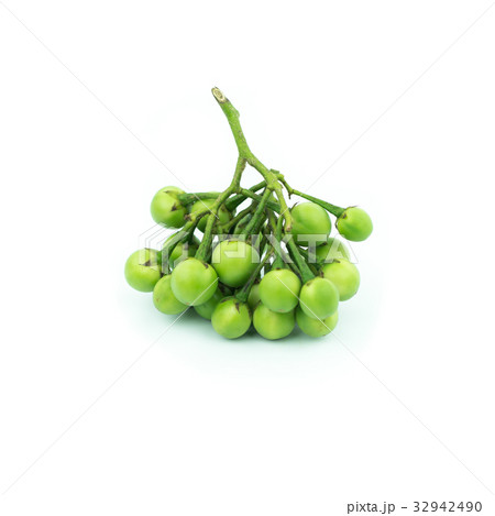 Bergamot fruit, Bergamot isolated on white Bergamot fruit, Bergamot isolated on white 32942490