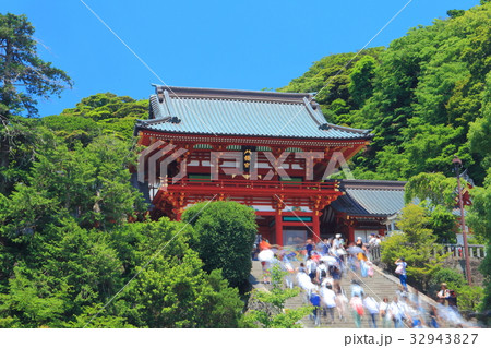 万緑の鶴岡八幡宮 32943827