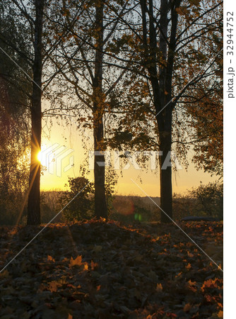 Sunset, autumn 32944752